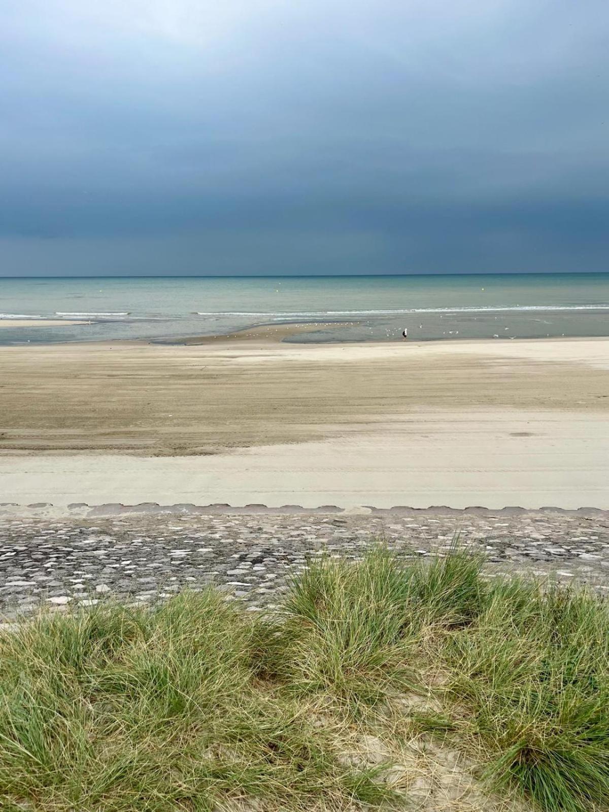 L Oree De La Pinede Hardelot Plage A 800 Metres De La Mer Sous Les Pins Extérieur photo