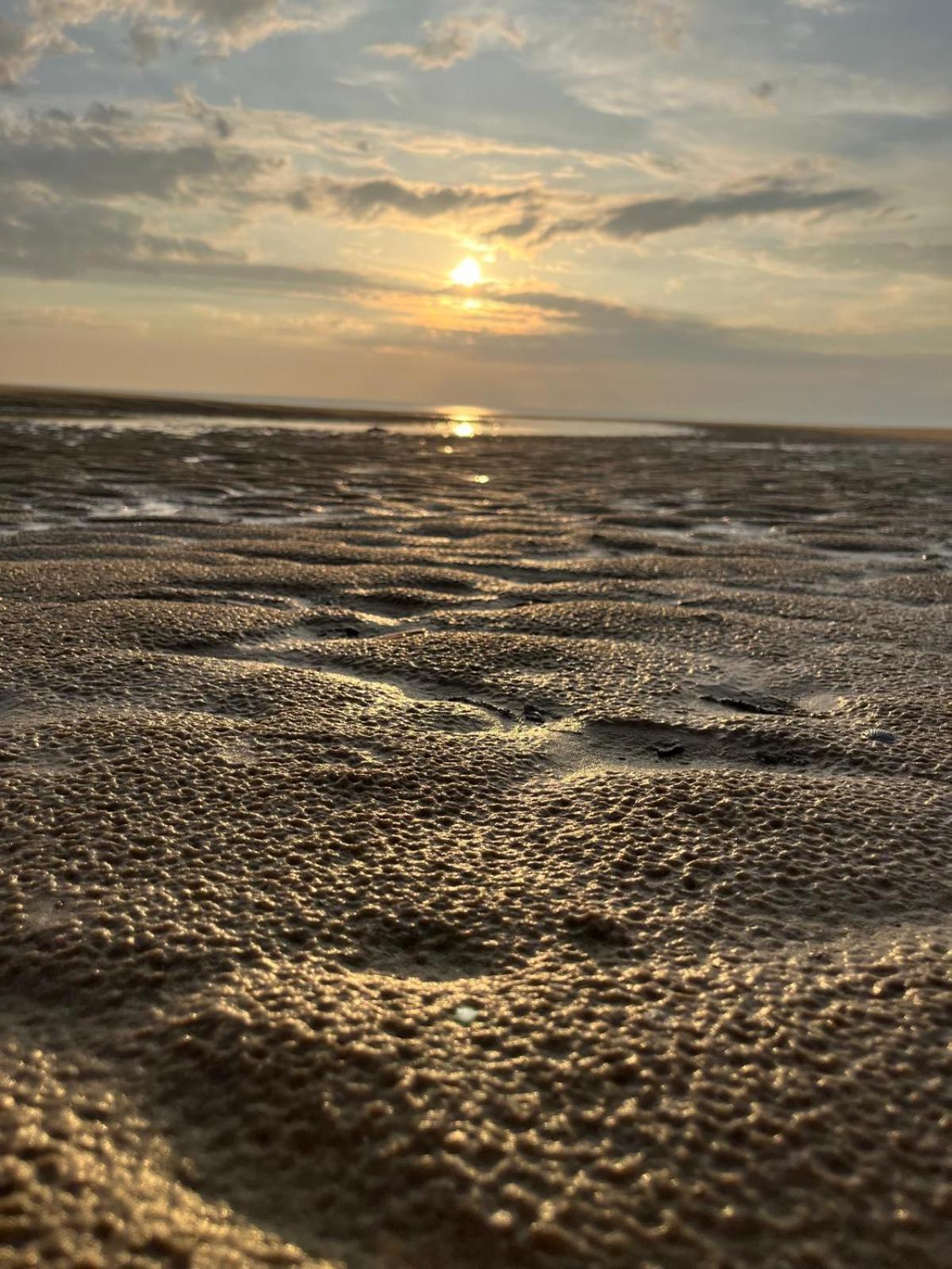 L Oree De La Pinede Hardelot Plage A 800 Metres De La Mer Sous Les Pins Extérieur photo
